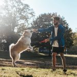 exercise essential for canines