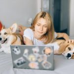popular working roles for dogs